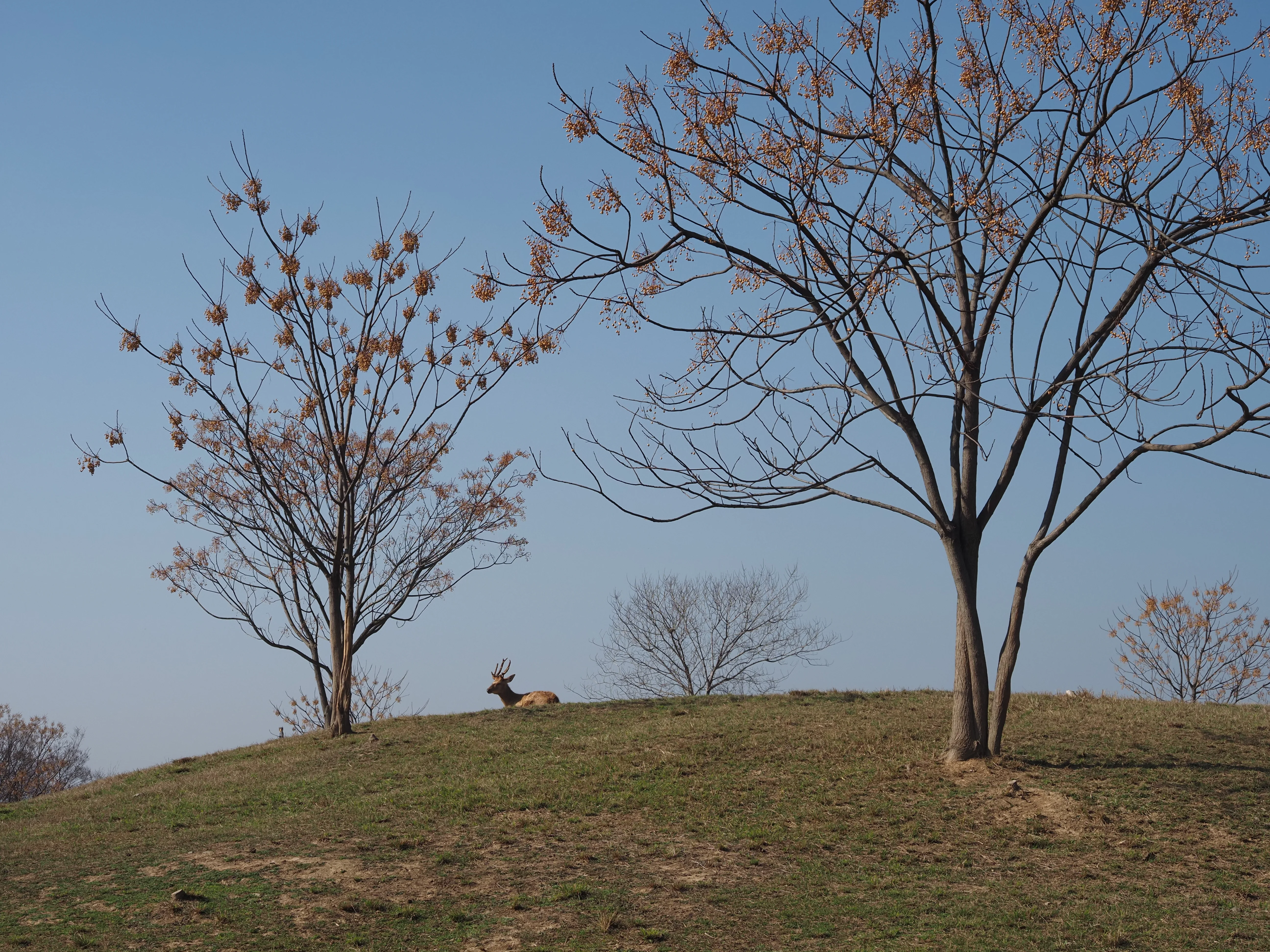 Living Landscapes / 03