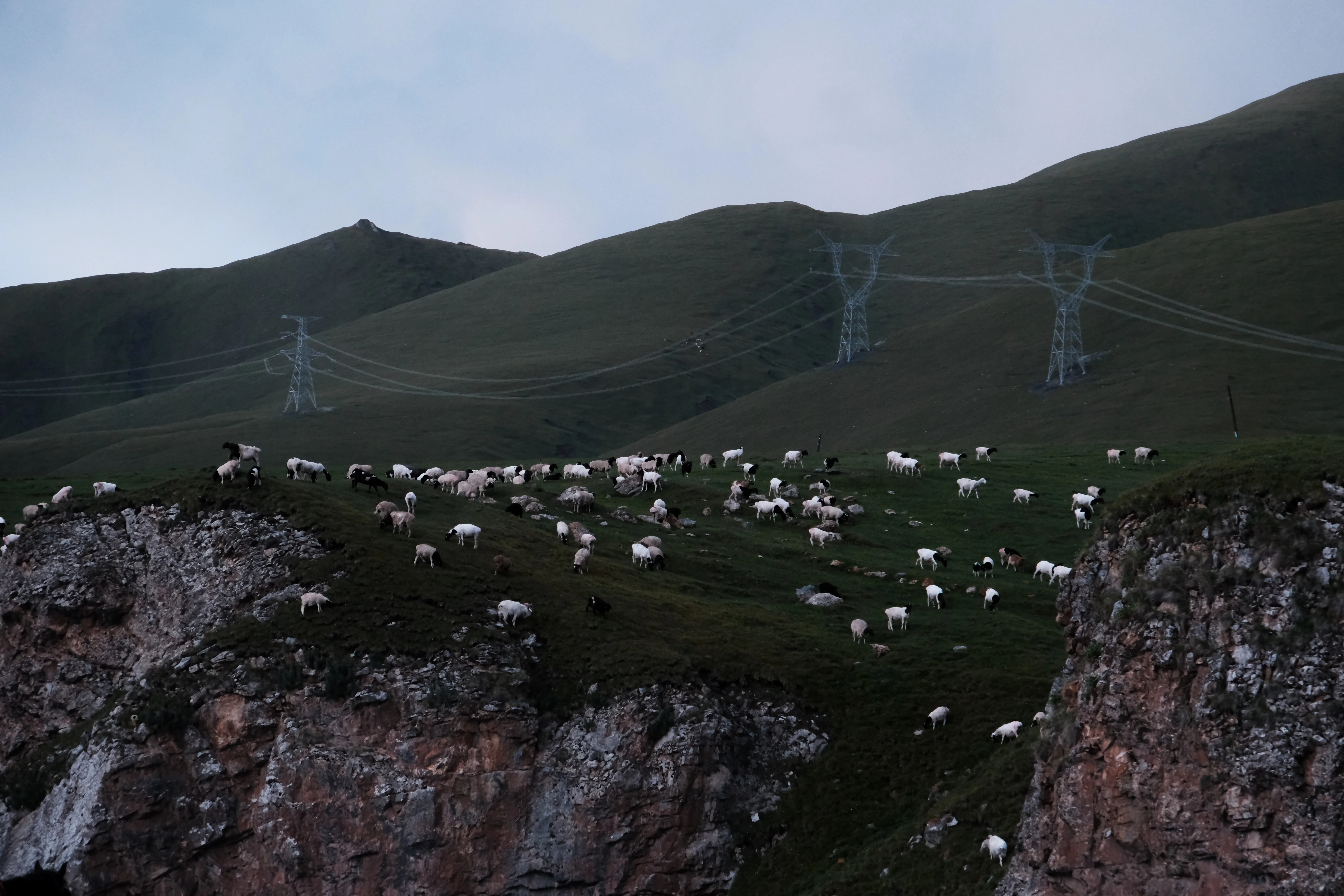 Living Landscapes / 04