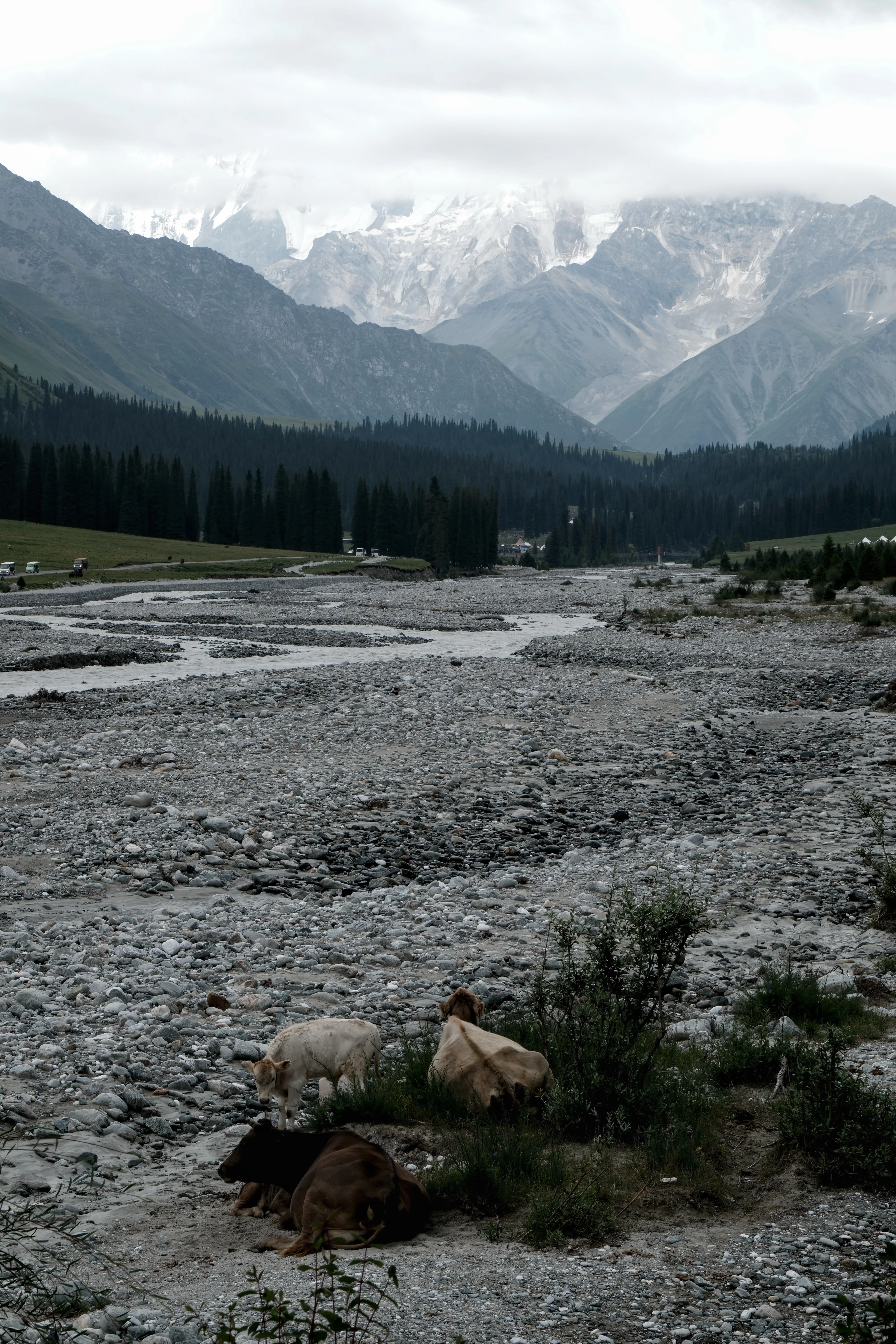 Living Landscapes / 05