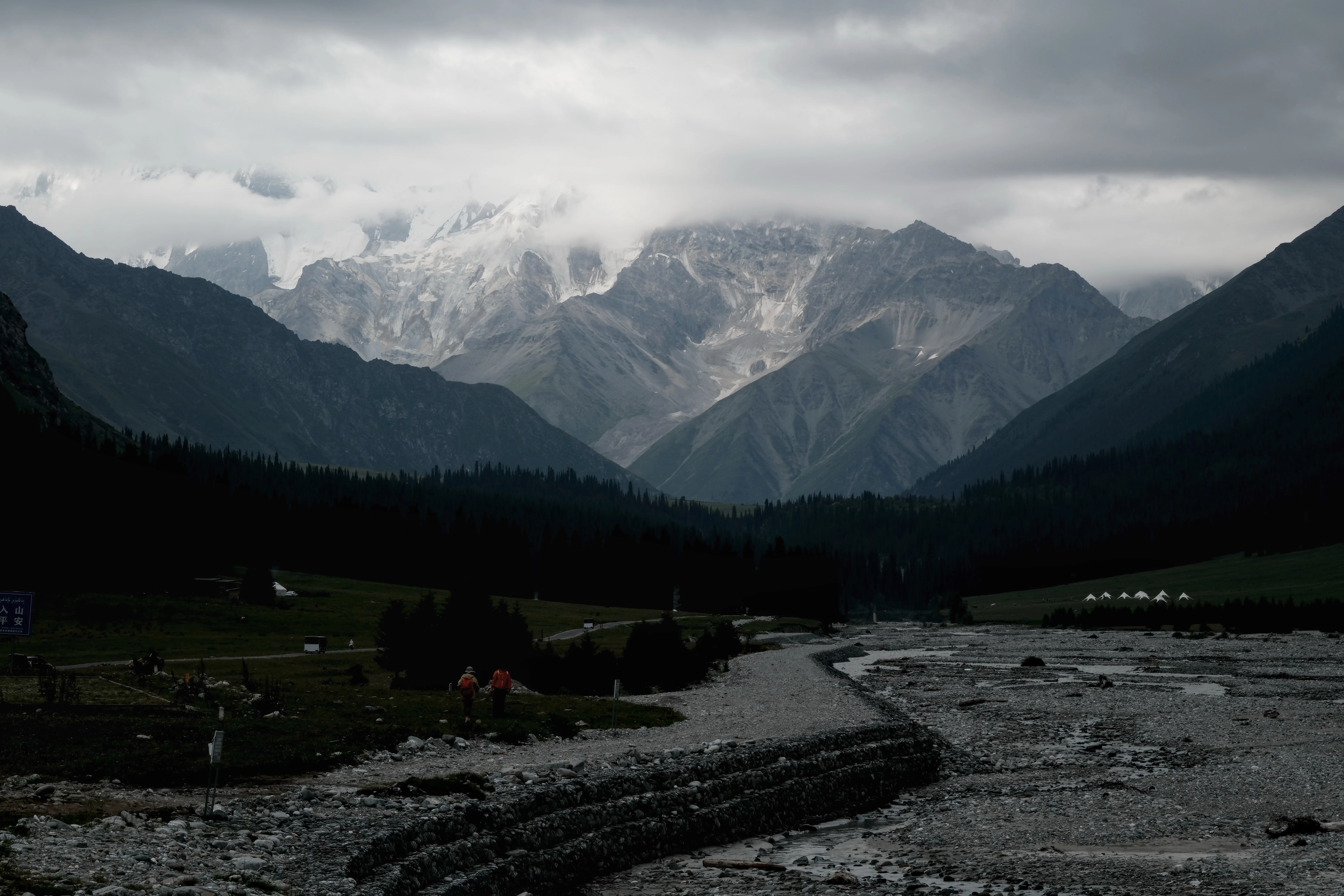 Living Landscapes / 06
