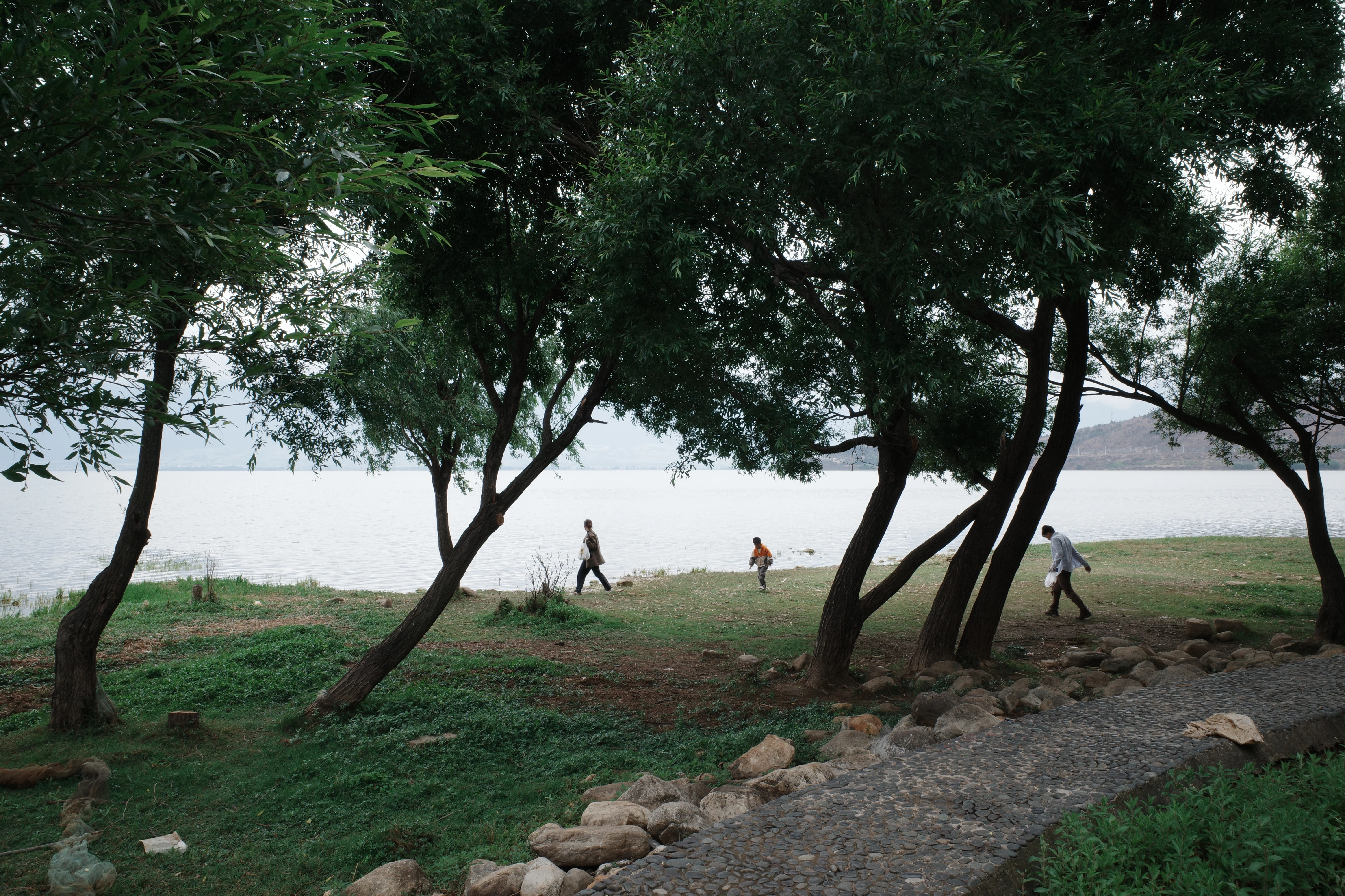 Living Landscapes / 07