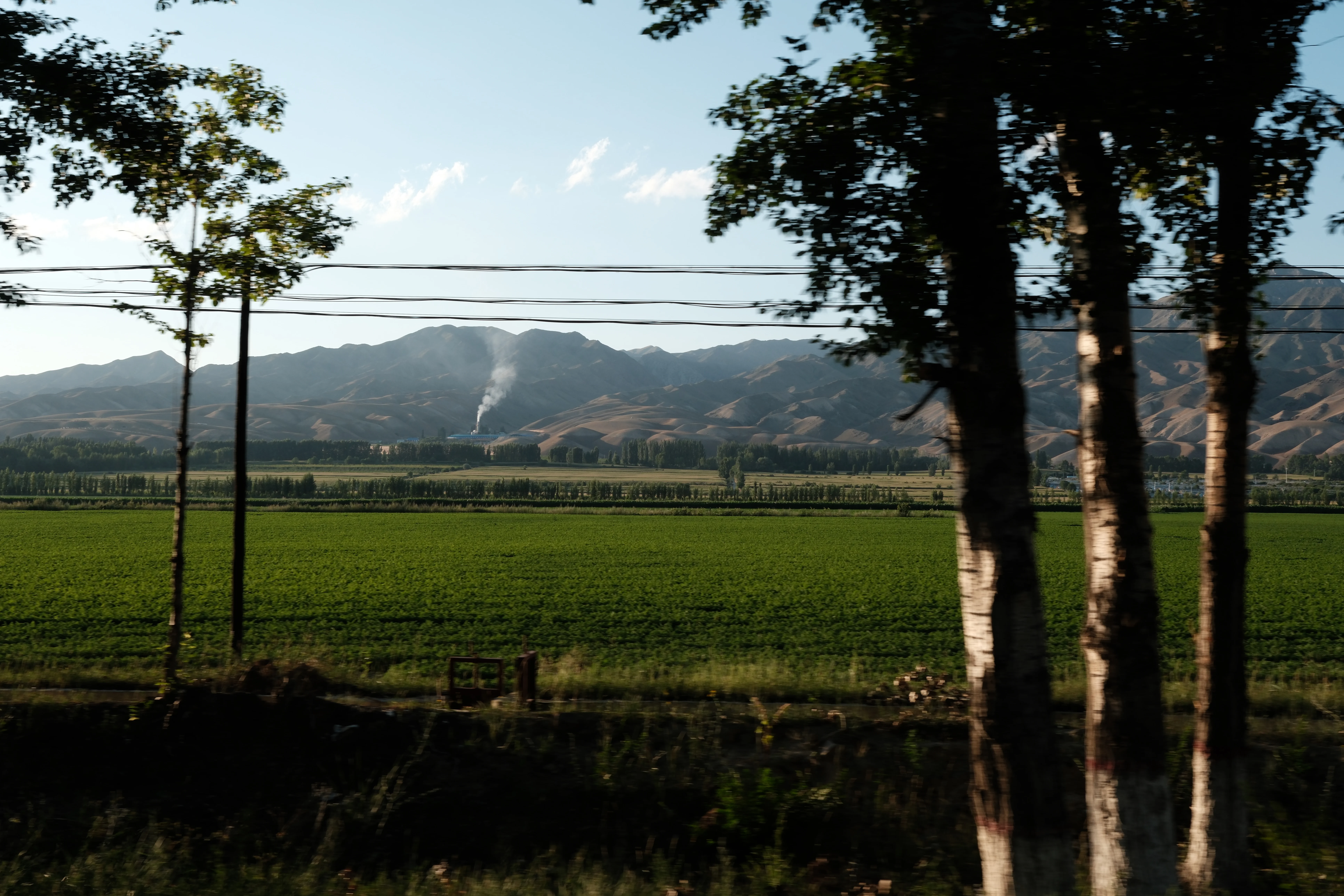 Living Landscapes / 10