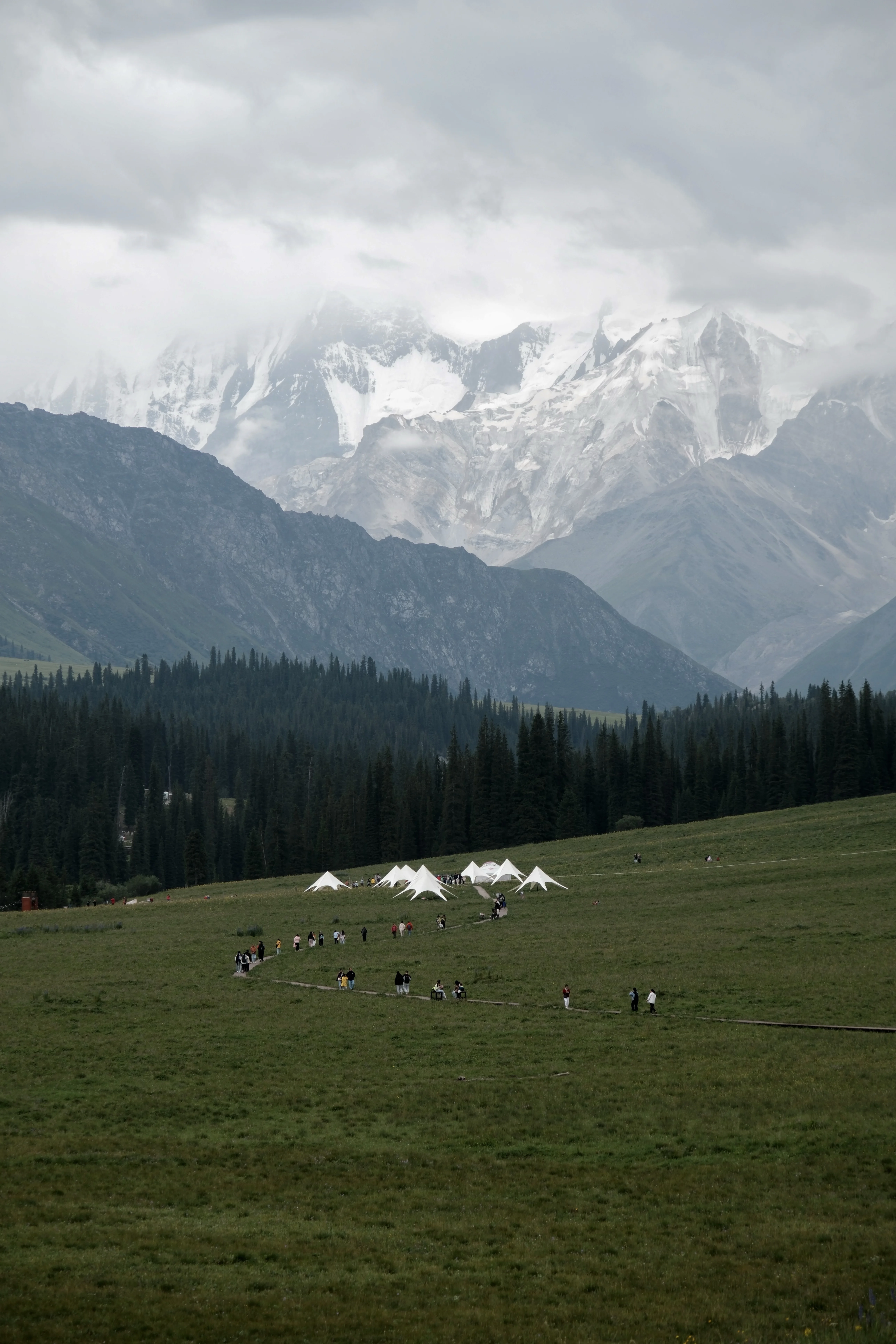 Living Landscapes / 11