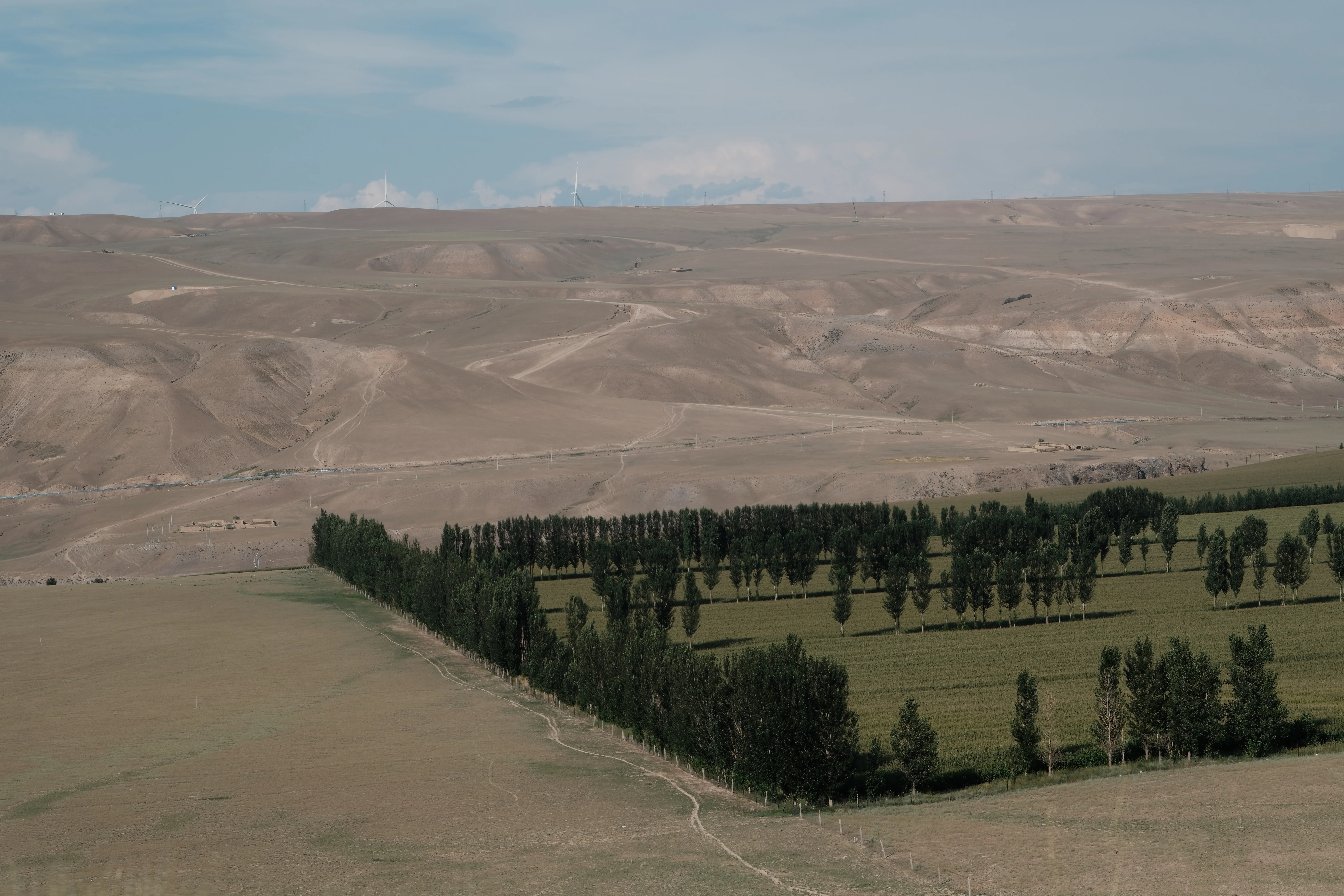 Living Landscapes / 13