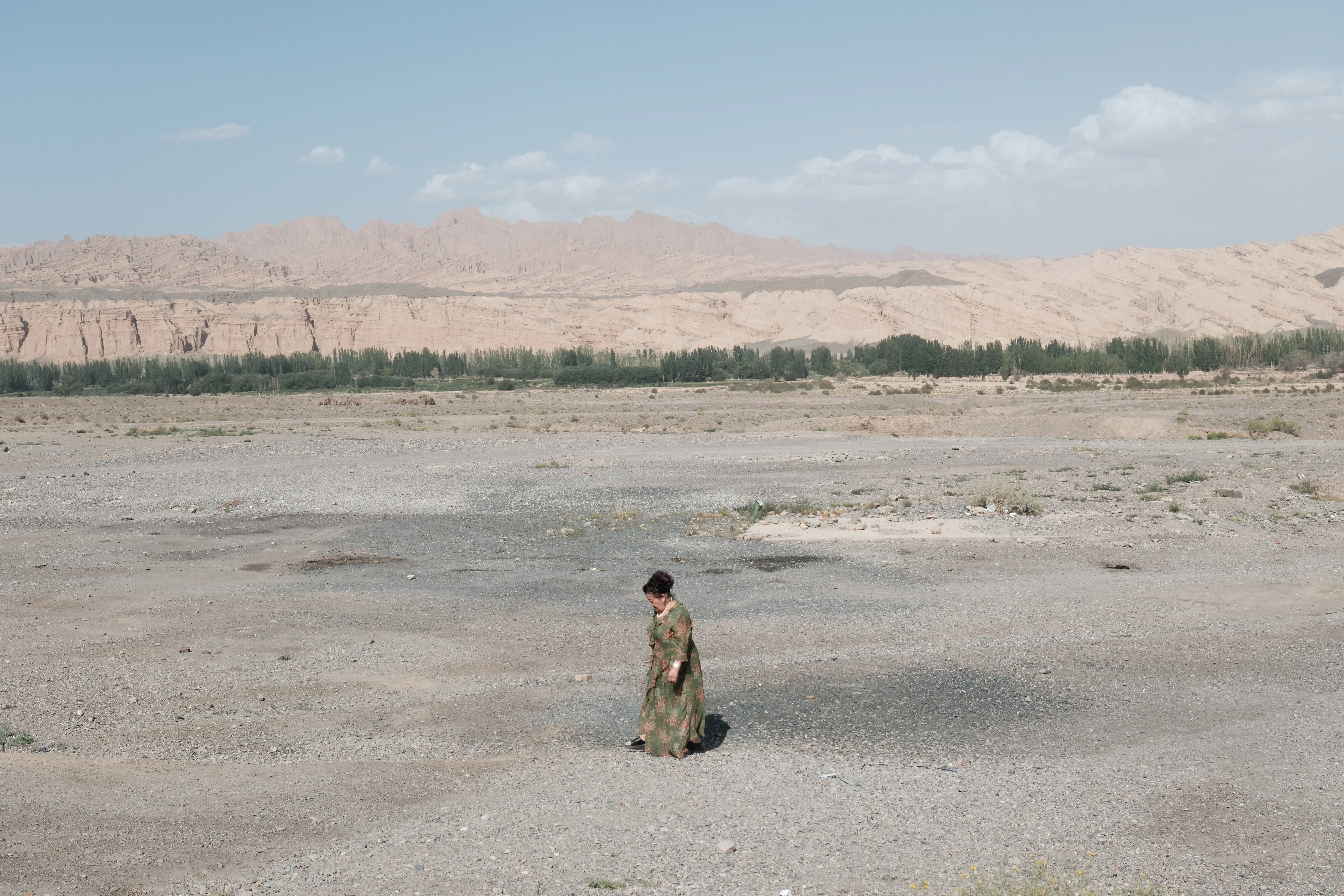 Living Landscapes / 16