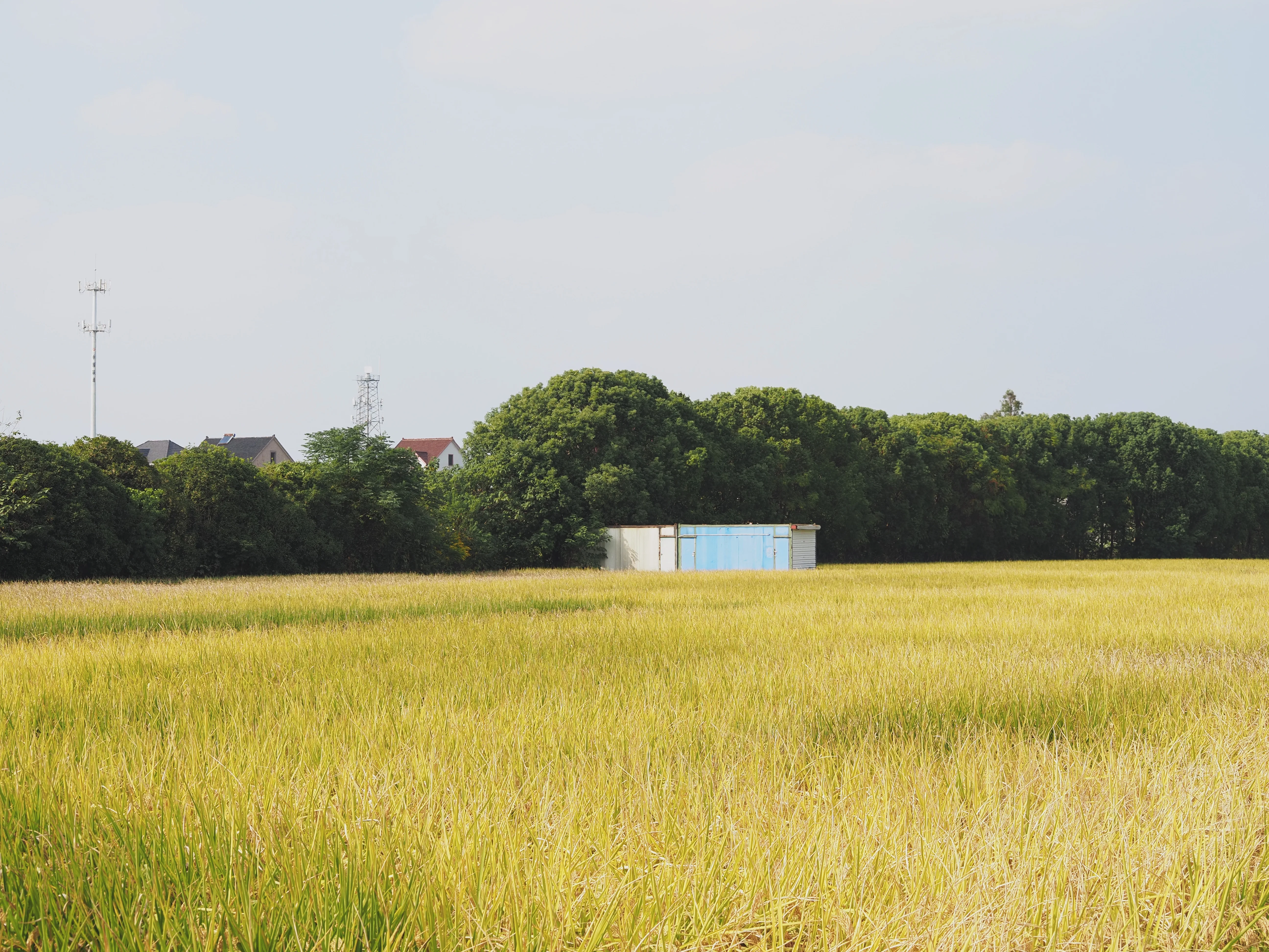 Stillness & Form / 16